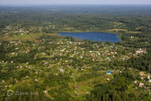 садоводческое товарищество Овинчище фото