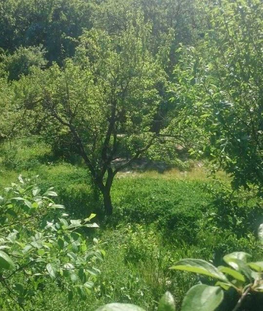 земля г Геленджик с Адербиевка пер Цветочный муниципальное образование Геленджик фото 2