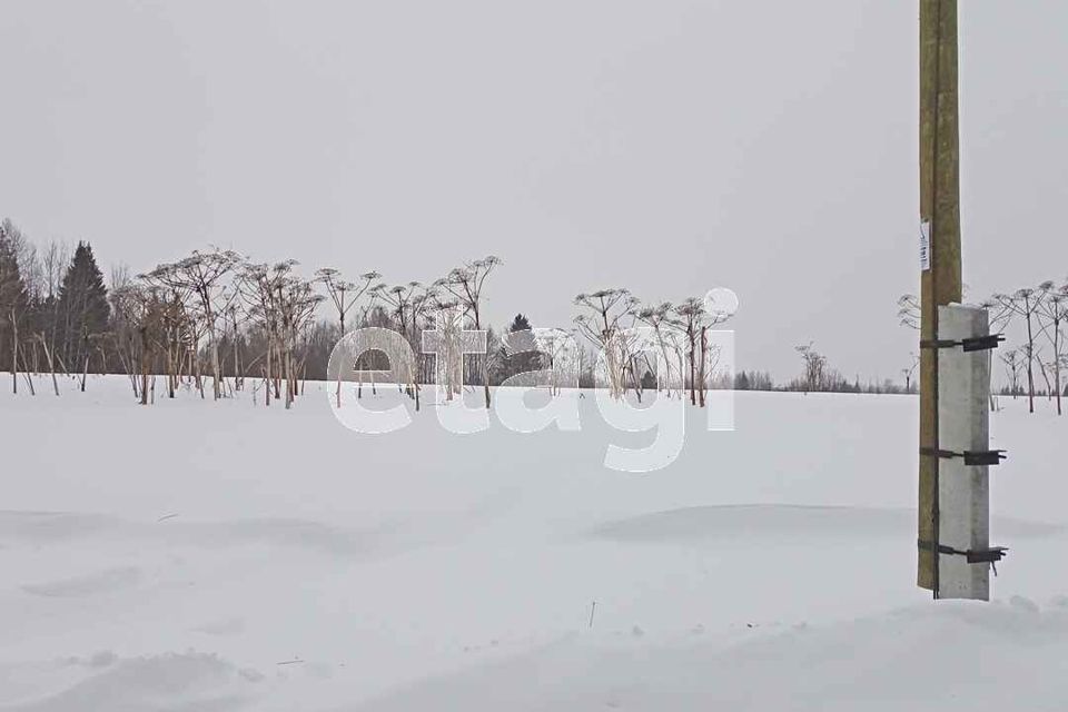 земля г Сыктывкар городской округ Сыктывкар, местечко Давпон фото 3