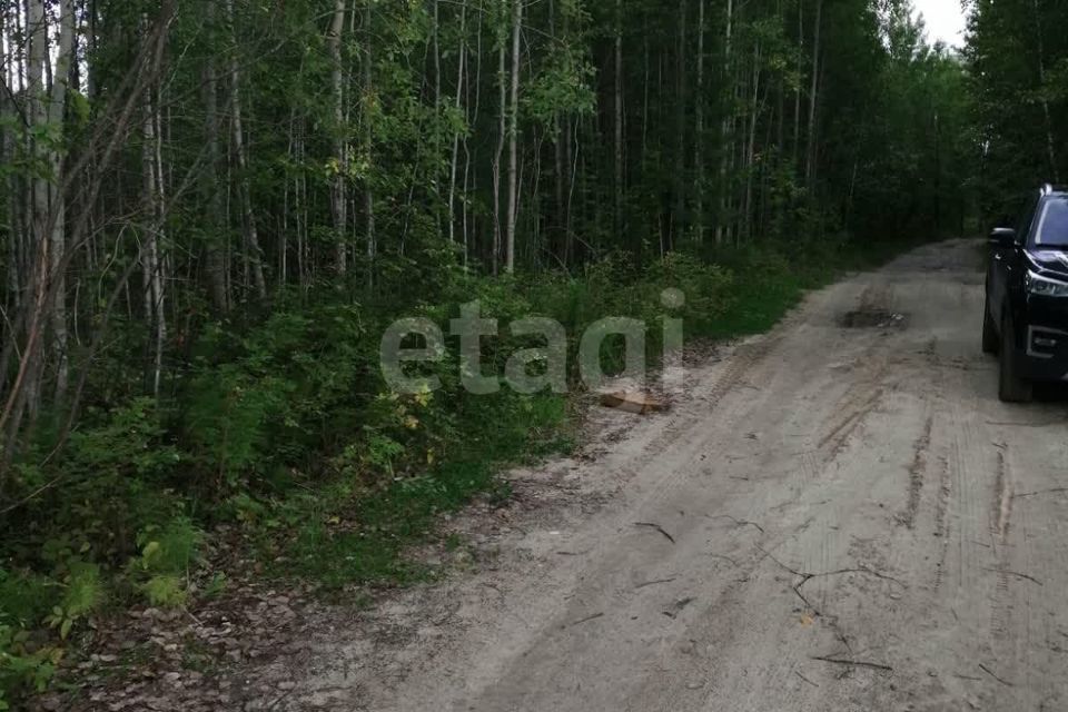 земля г Ханты-Мансийск садово-огородническое товарищество УПТВСи ИС-2, городской округ Ханты-Мансийск фото 7