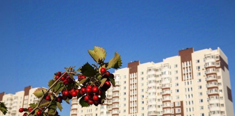 квартира г Москва п Десеновское новые Ватутинки мкр. «Центральный» метро Ольховая к 9/3 фото 3