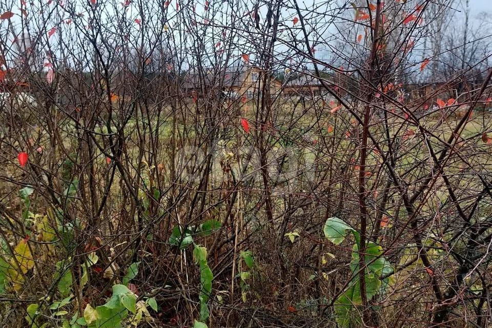 дом г Нижний Тагил городской округ Нижний Тагил, коллективный сад Весна фото 2