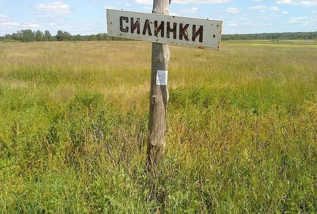 д Силинки Батюшковское сельское поселение, 2А, Гагарин фото