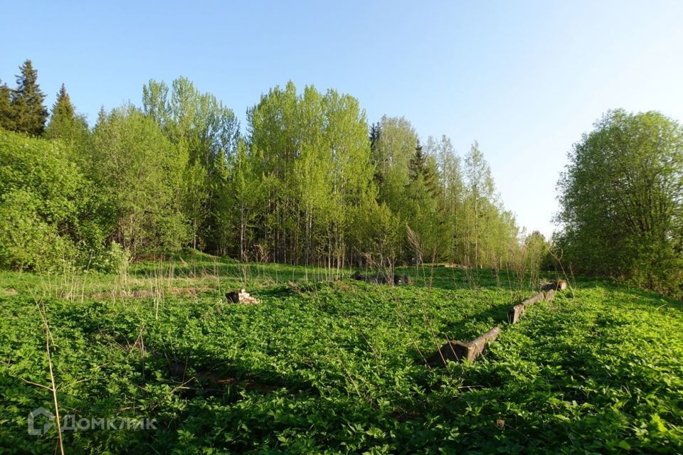 земля Сортавальский район, местечко Светлое фото 6