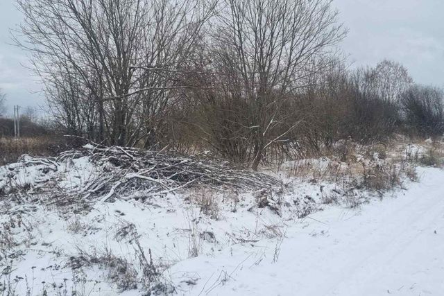 д Дегтярево ул Сосновая фото