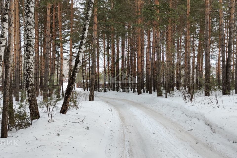 земля р-н Емельяновский садоводческое некоммерческое товарищество Аграрник фото 3