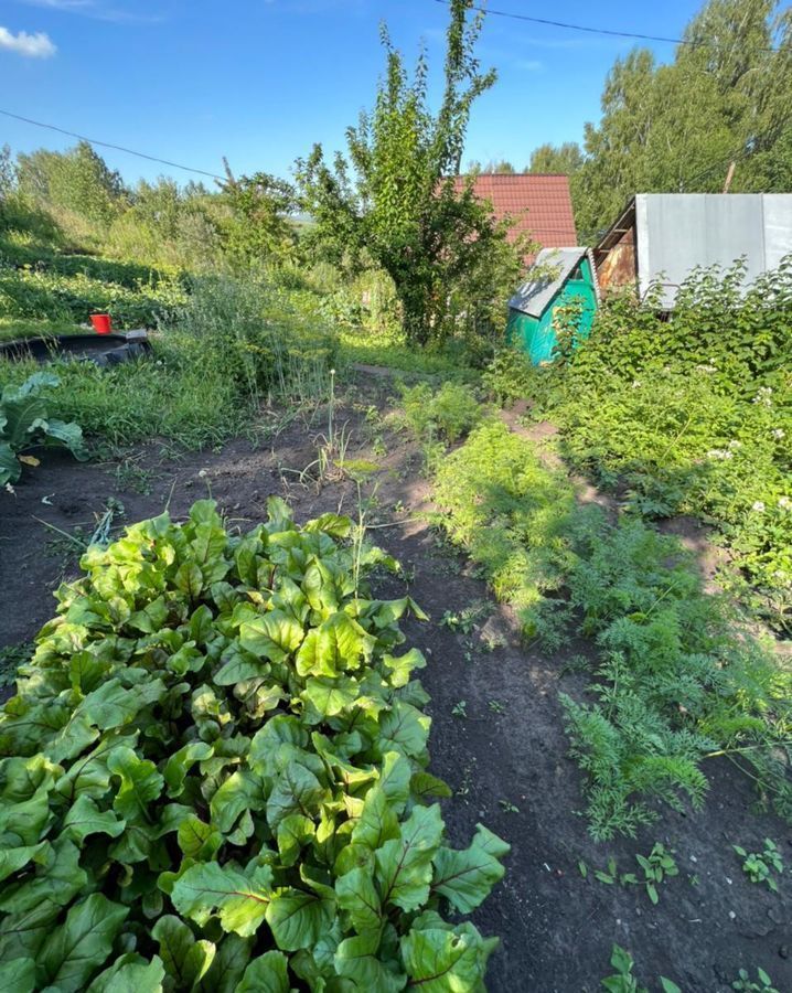 земля г Горно-Алтайск садоводческое товарищество Берёзовая роща фото 12