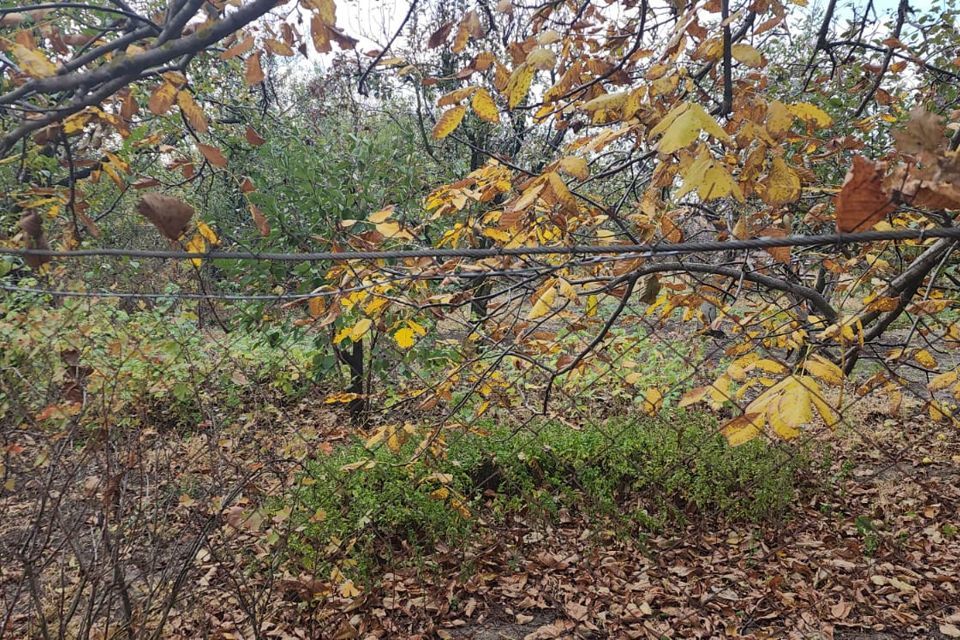 земля г Новочеркасск городской округ Новочеркасск, садовое товарищество № 16 фото 1