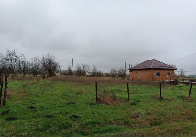 Новомышастовское сельское поселение фото