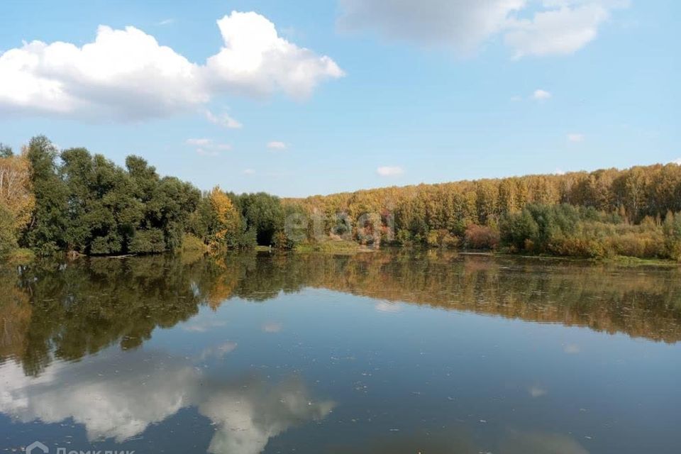 земля р-н Промышленновский деревня Пор-Искитим фото 2