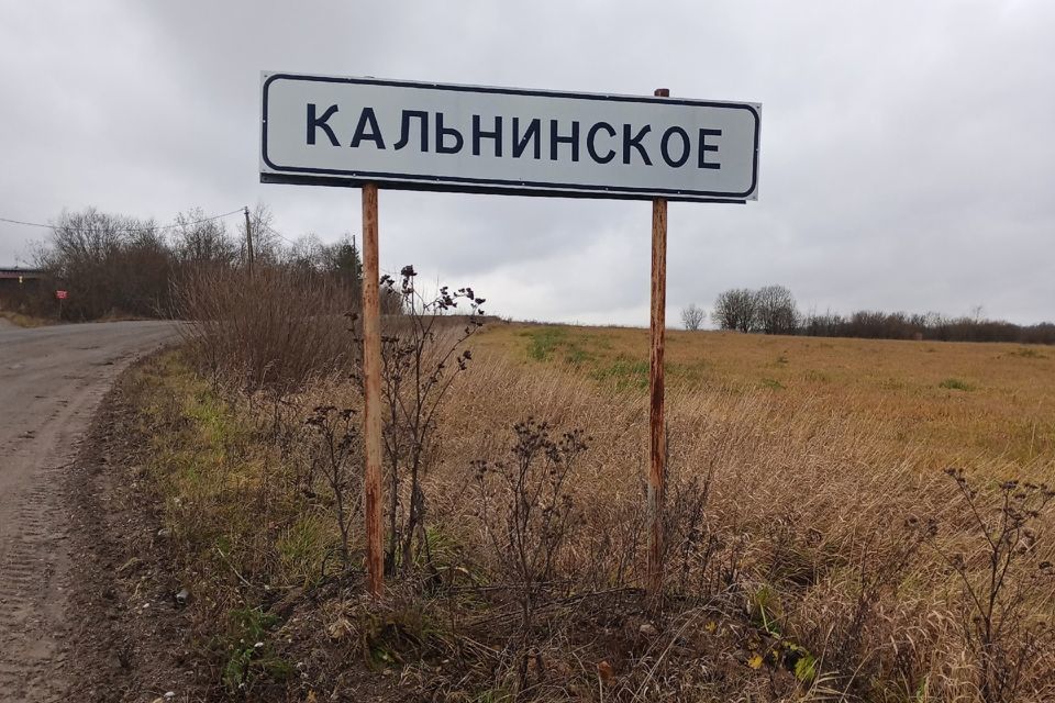 земля р-н Череповецкий деревня Кальнинское фото 7
