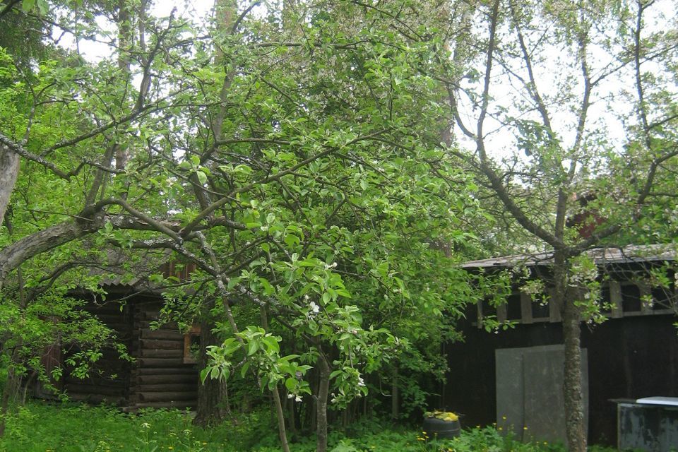 земля р-н Гатчинский городской посёлок Вырица, улица Соболевского, 22 фото 2