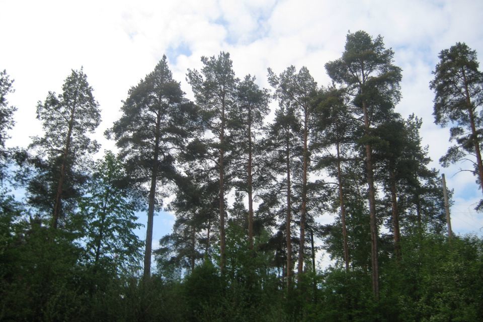 земля р-н Гатчинский городской посёлок Вырица, улица Соболевского, 22 фото 8