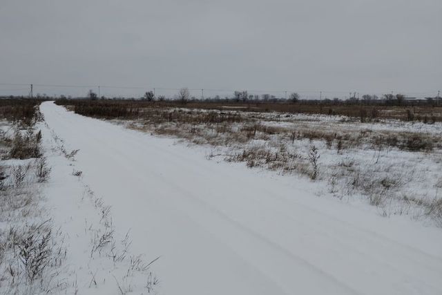 посёлок Расцвет фото