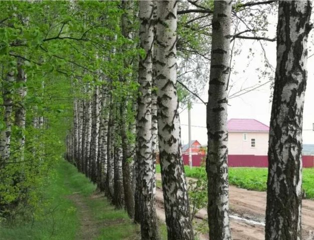 земля Иваньковское, Московская область, Кашира, муниципальное образование фото