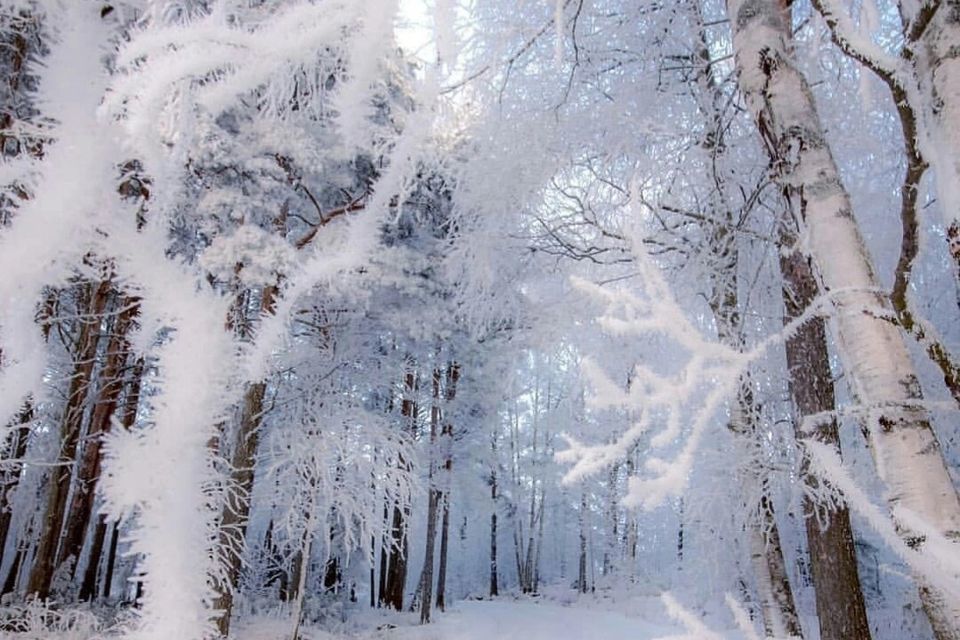 земля г Рязань городской округ Рязань, район Солотча фото 1