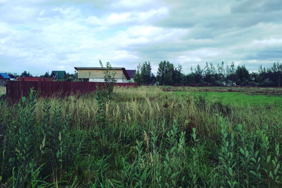 земля р-н Новгородский деревня Лешино фото 1