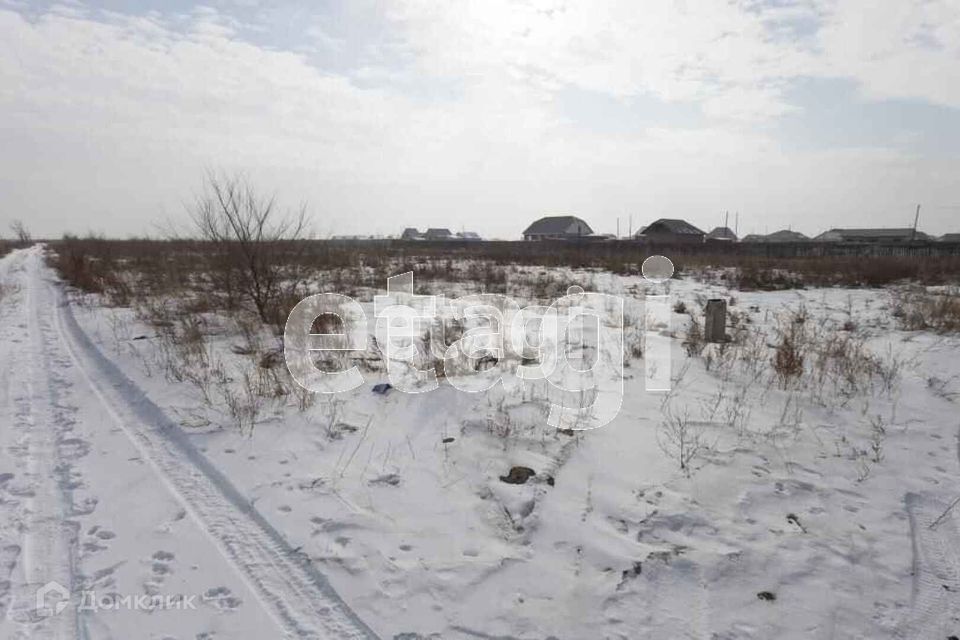 земля р-н Алтайский село Белый Яр фото 5