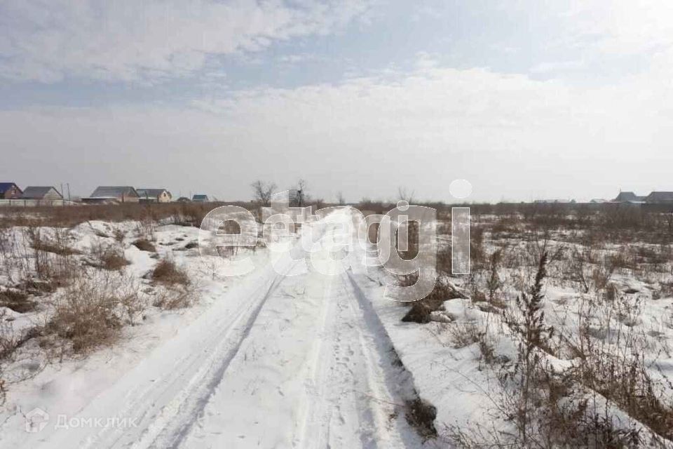 земля р-н Алтайский село Белый Яр фото 6