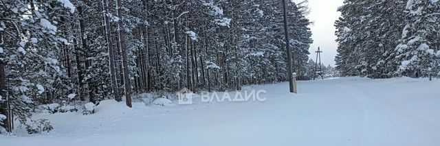 земля с. Макаринино Башарово фото