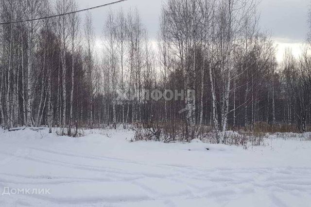 р-н Новосибирский Барышевский сельсовет фото