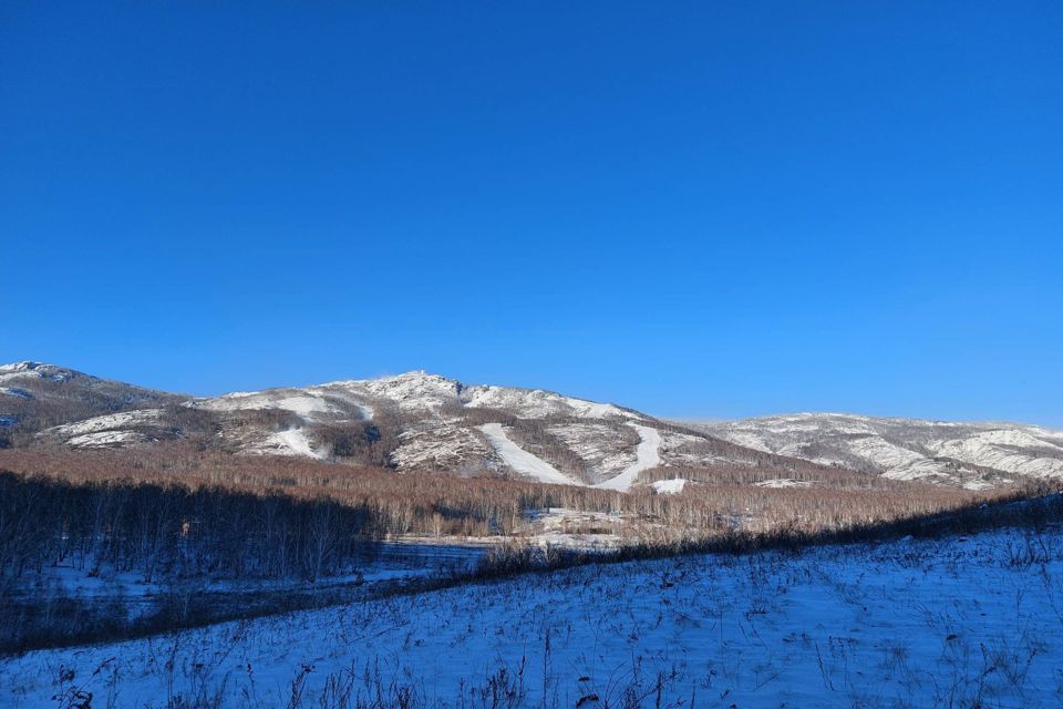 дом р-н Абзелиловский д Зеленая Поляна ул Курортная 81/1 фото 3