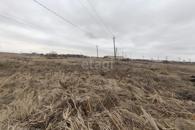 городской округ Адыгейск, Адыгейск фото