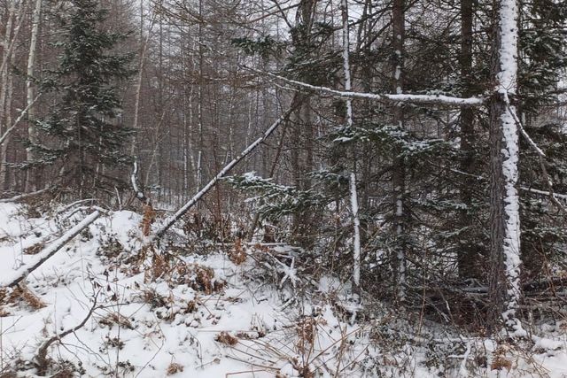 городской округ Южно-Сахалинск, жилой квартал Весточка фото