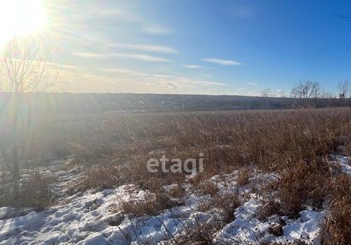 земля г Благовещенск фото 4