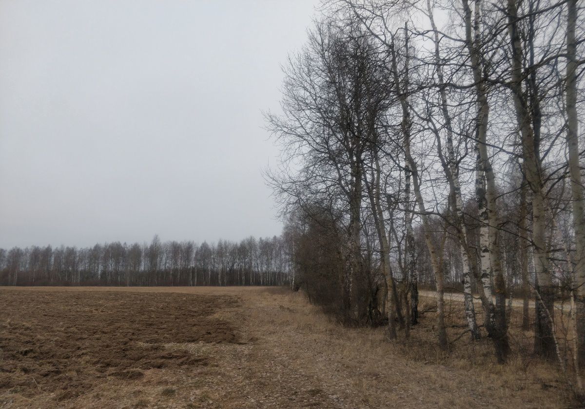 земля р-н Кировский п Шубартовка сельское поселение Деревня Большие Савки, Киров фото 6