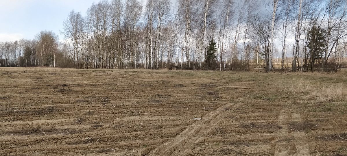 земля р-н Кировский п Шубартовка сельское поселение Деревня Большие Савки, Киров фото 11