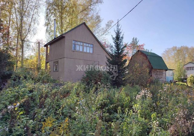 дом Берёзовский сельсовет, Кольцово фото