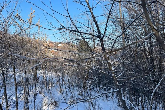 земля городской округ Горно-Алтайск, садоводческое товарищество Кооператор фото