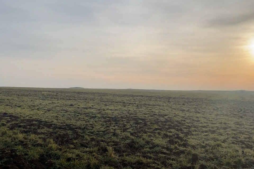 земля г Самара ул Зои Космодемьянской 10 городской округ Самара фото 3