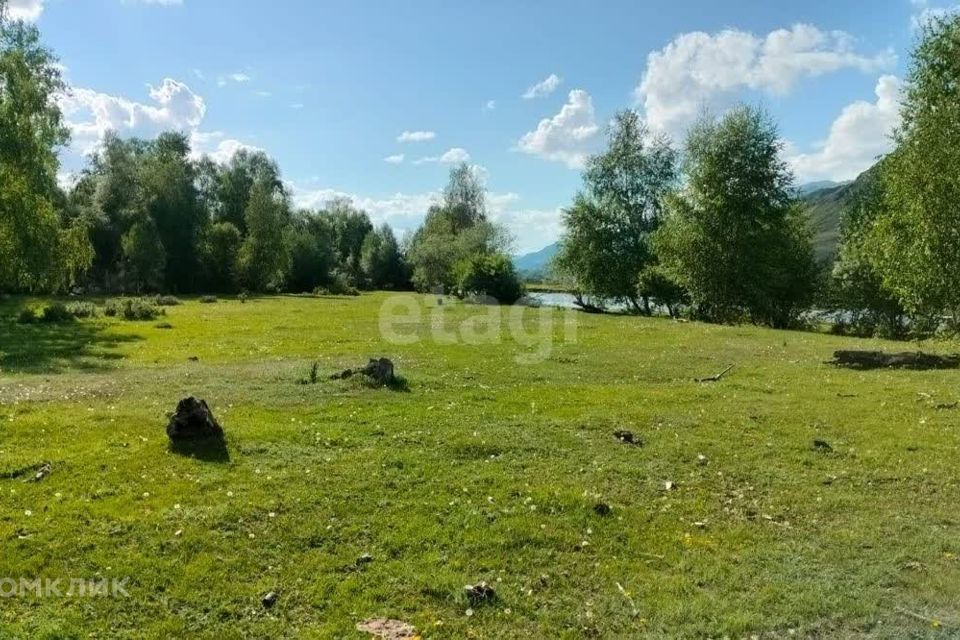 земля р-н Онгудайский с Хабаровка ул Центральная фото 8