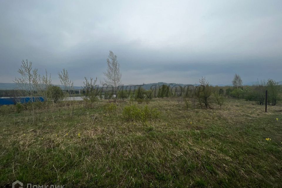 земля р-н Алтайский с Ая территория Пограничное фото 4