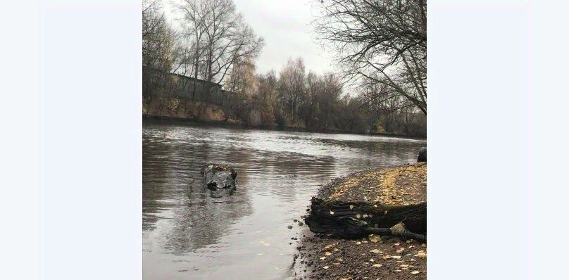 квартира г Санкт-Петербург р-н Красногвардейский пр-кт Энергетиков 11к/5 фото 41