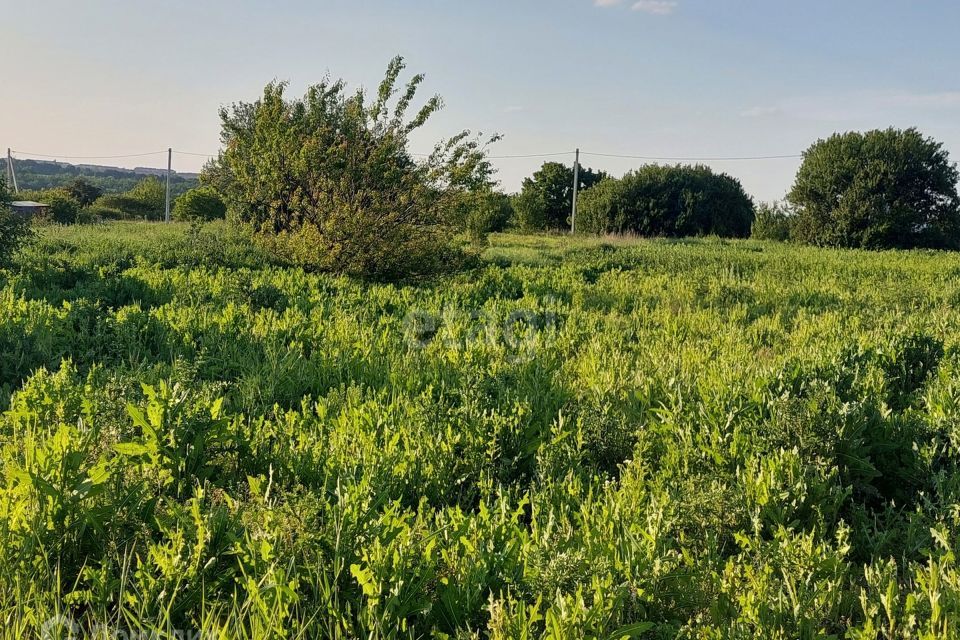 земля р-н Белгородский садоводческое товарищество Кондорово фото 3