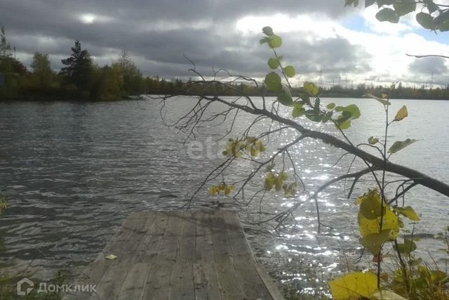 городской округ Сургут, садовое товарищество Монтажник фото