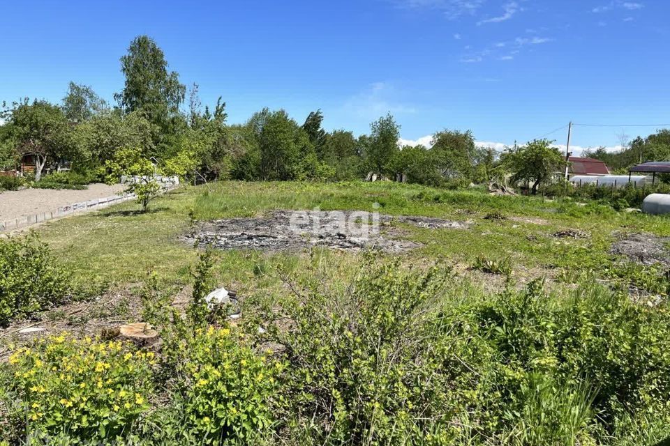 земля г Павловск снт Славяночка Пушкинский район, 93 фото 4