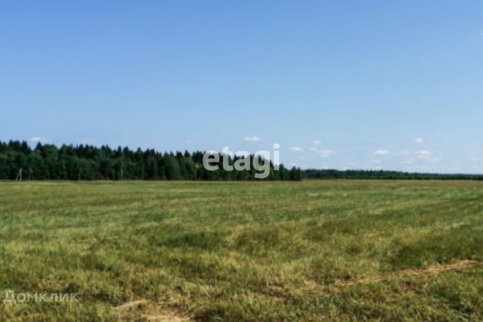 земля р-н Волосовский Калитинское сельское поселение фото 4