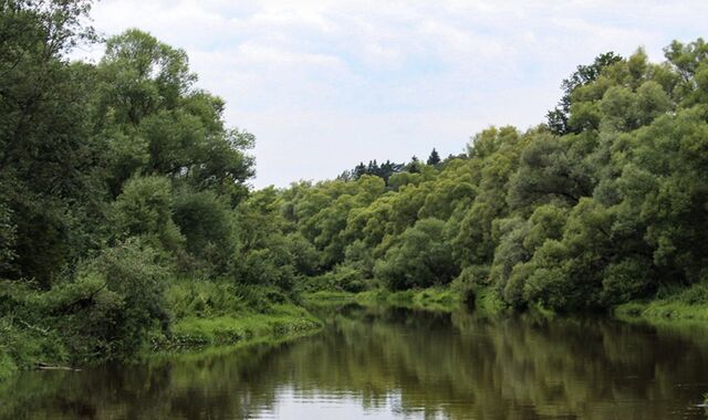 КП Сосновый берег фото 5
